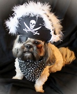 Yo Ho Ho Captain Murphy Homemade Costume