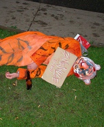 Zanesville Ohio Tiger Costume