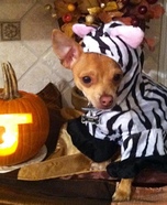 Zebra Costume for Dogs