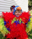 Animal costume ideas for babies - Feathery Fluffy Parrot Baby Costume