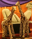 Animal costume ideas for adults - Giraffes Costume