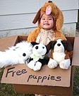 Free Puppies Costume