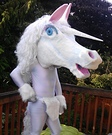 Animal costume ideas for adults - DIY Unicorn Costume